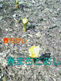 080312_1129~01001.jpg